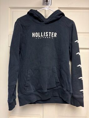 Hollister Men's Hoodie